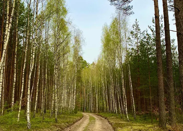 Domek Nad Jeziorem Guzowy Piec