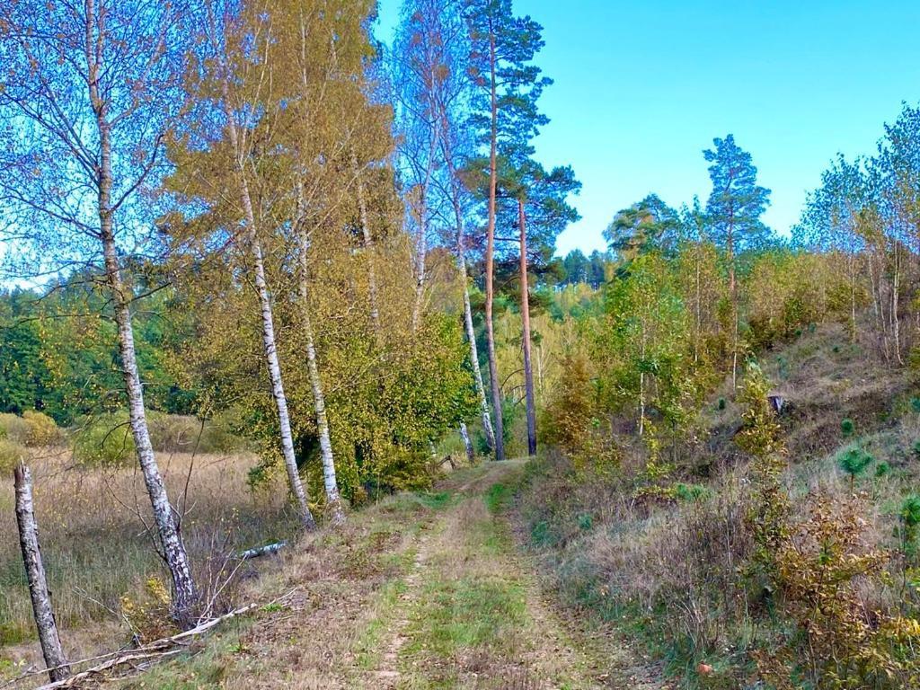Holiday home Nad Jeziorem Guzowy Piec